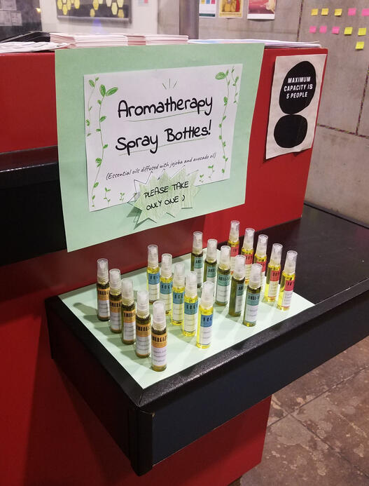 SPRAYS - Final Print/Product for handout